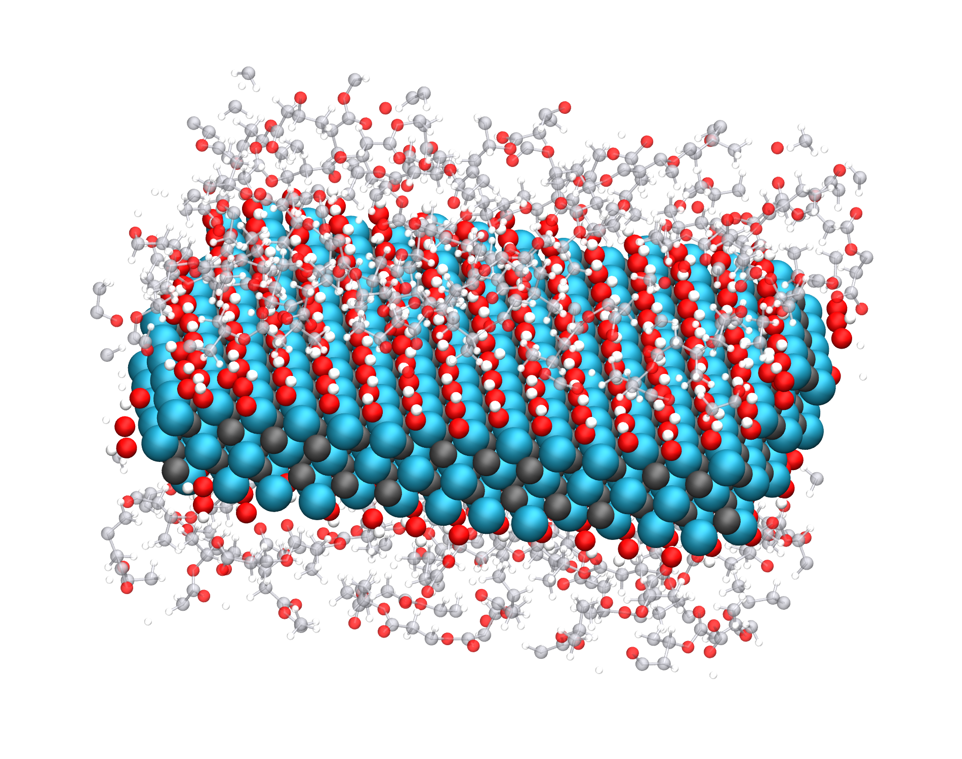 Atomistic model of a polymer chain at a MXene surface