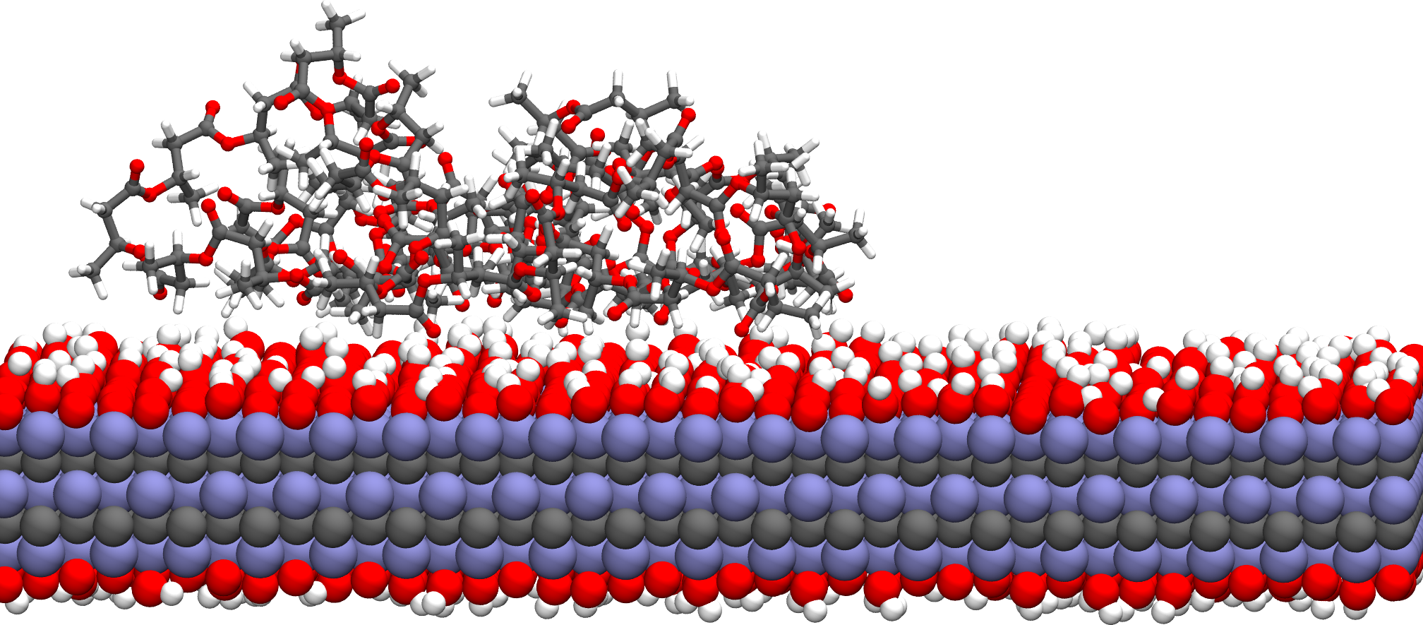 Representative atomistic configuration of a polymer chain in contact with a MXene surface