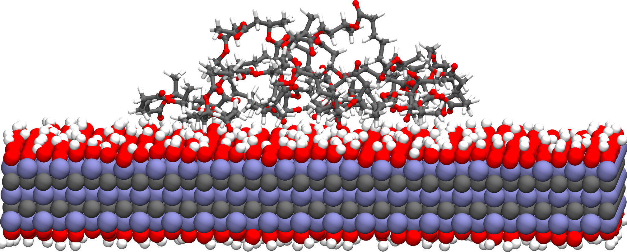 Representative atomistic configuration of a polymer chain in contact with a MXene surface