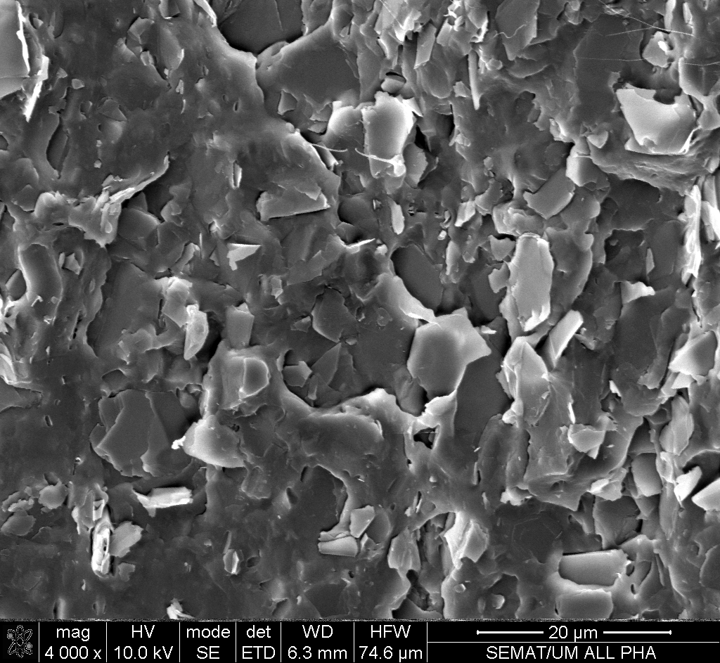 Scanning electron micrograph of a material surface, including the 20 micrometre scale bar